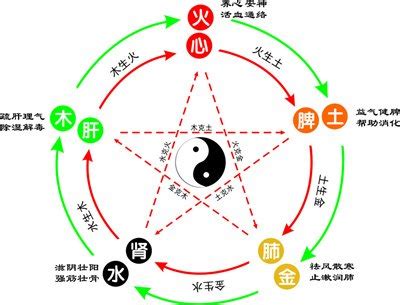 天字五行|五行